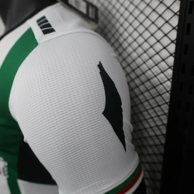 2024/2025 Player Version Club Deportivo Palestino Home Football Shirt