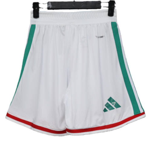 2026 Mexico World Cup Home Soccer shorts Fan/Player version