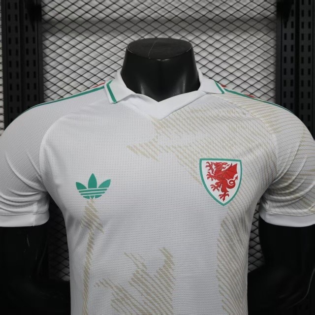 2026 Wales World Cup Away Football jersey Player edition
