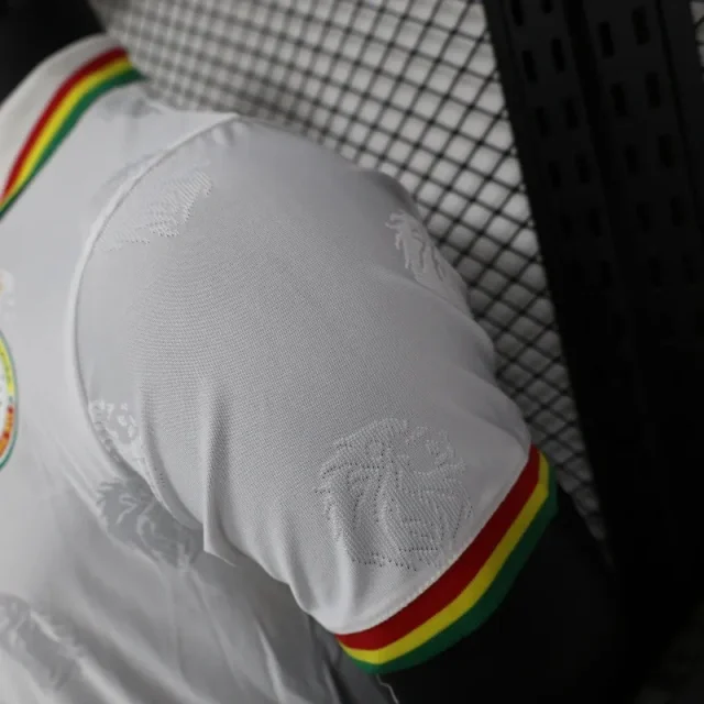 2024/2025 Senegal Special Edition Senegal Football Jersey for Players