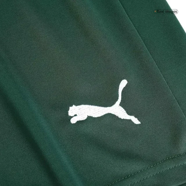 SE Palmeiras 2023/24 Away Shorts Replica