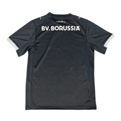 2025-26 Borussia Dortmund 100th Anniversary Rote Erde Special Edition Football jersey Fan Version