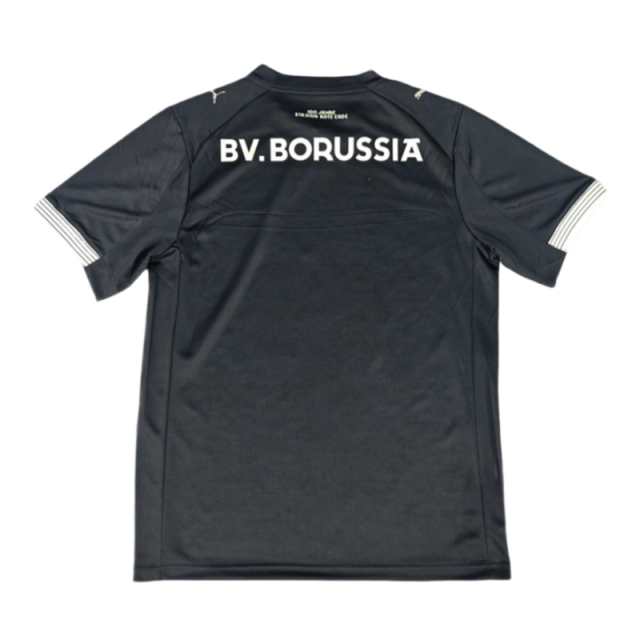 2025-26 Borussia Dortmund 100th Anniversary Rote Erde Special Edition Football jersey Fan Version
