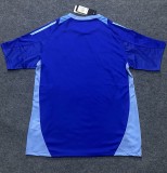 24-25 Como Blue Training Shirts