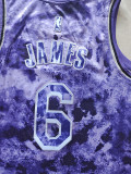 2023 LAKERS JAMES #6 Top Quality Hot Pressing NBA Jersey