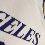 22-23 LAKERS DAVIS #3 White City Edition Top Quality Hot Pressing NBA Jersey