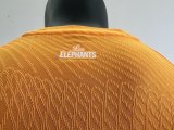 22-23 Cote d'Ivoire 3 stars Player Soccer Jersey