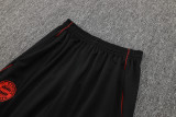 25-26 Bayern High Quality Jacket Tracksuit