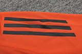 25-26 Colombia High Quality Polo Tracksuit