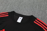 25-26 LIV High Quality Training Short Suit