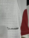 2026 Germany White Player Version Training shirts