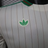 25-26 Algeria Casual Version Player Version Soccer Jersey
