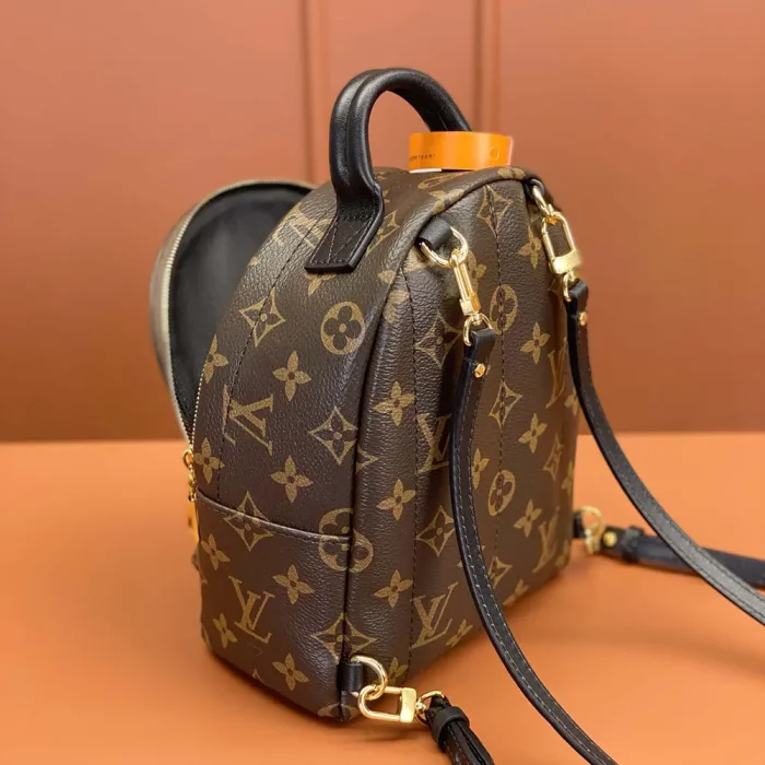 Louis Vuitton LV Women Palm Springs Mini M44873