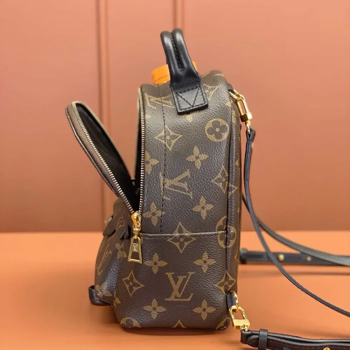 Louis Vuitton LV Women Palm Springs Mini M44873