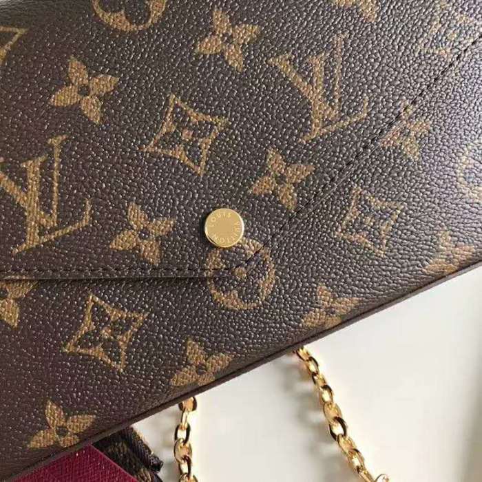 Louis Vuitton LV Women Félicie Pochette Bag in Monogram Canvas-Brown