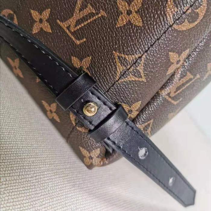 Louis Vuitton LV Women Palm Springs PM Backpack in Monogram Reverse Coated Canvas-Brown