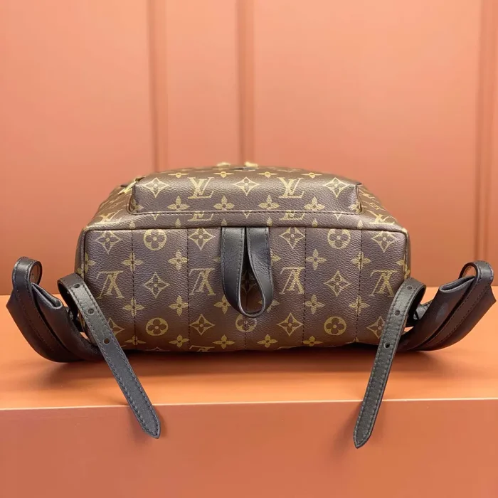 Louis Vuitton LV Women Palm Springs MM M44874