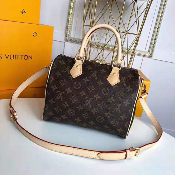 Louis Vuitton LV Women Speedy 25 Bag in Monogram Coated Canvas-Brown