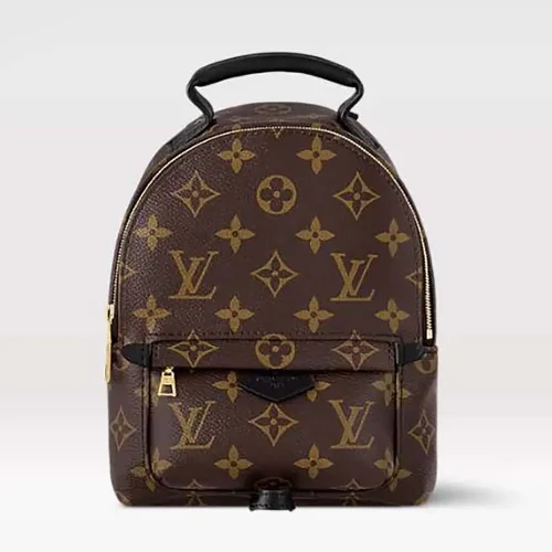 Louis Vuitton LV Women Palm Springs Mini M44873