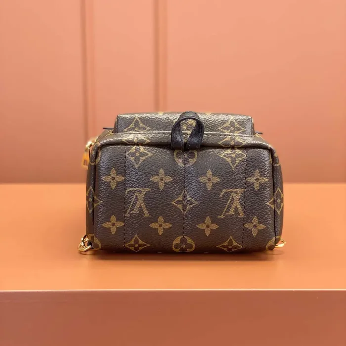 Louis Vuitton LV Women Palm Springs Mini M44873