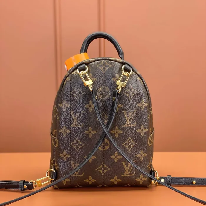 Louis Vuitton LV Women Palm Springs Mini M44873