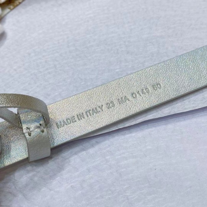 Dior Unisex CD Dior Or Saddle Belt Metallic Silver-Tone Smooth Calfskin 20 MM