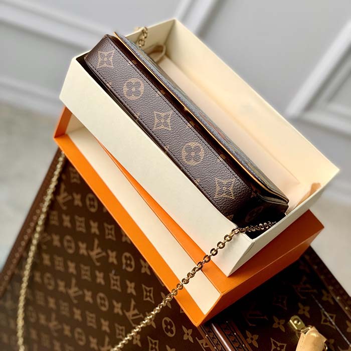 Louis Vuitton LV Women Félicie Pochette Yellow Brown Monogram Coated Canvas