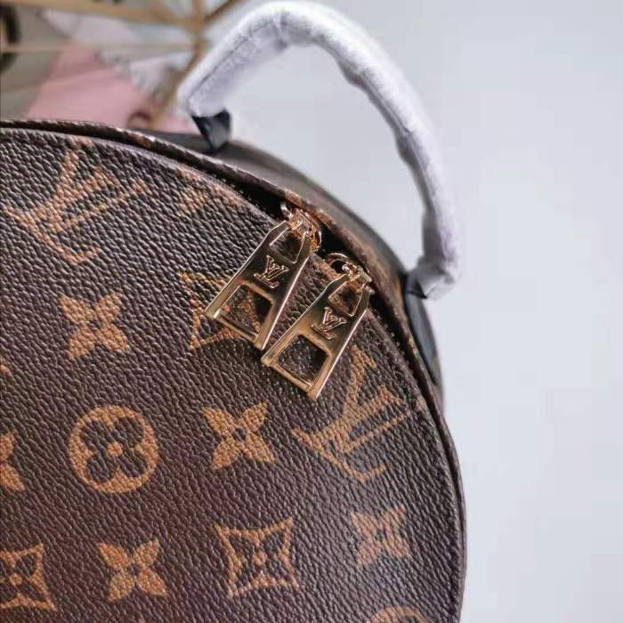 Louis Vuitton LV Women Palm Springs PM Backpack in Monogram Reverse Coated Canvas-Brown