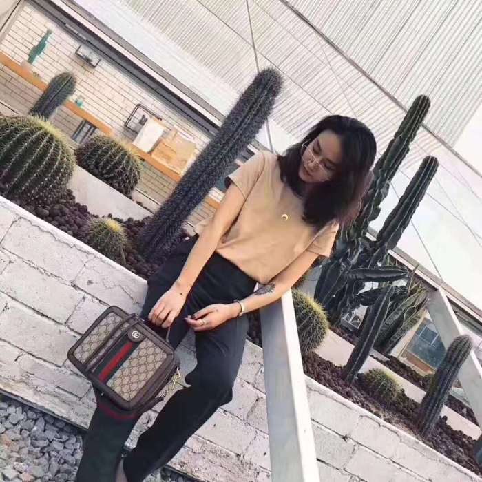 Gucci GG Women Ophidia Small GG Shoulder Bag in Beige/Ebony GG Supreme Canvas