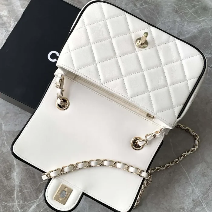 Chanel Women Mini Flap Bag Lambskin Gold Tone Metal AS5151