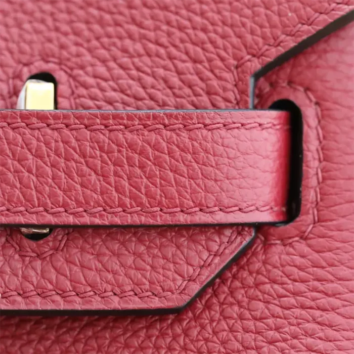 Hermes Birkin 30 Bag in Epsom Leather with Gold Hardware-Red/Gold