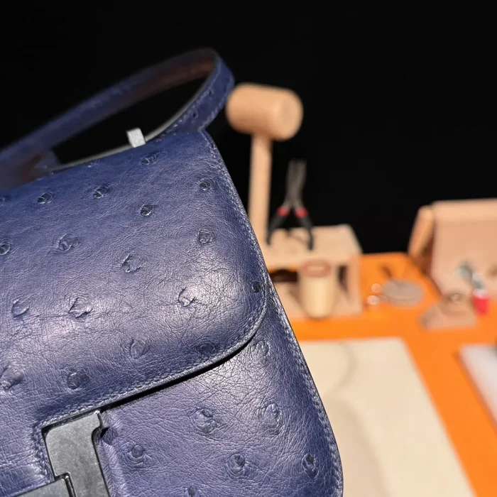 Hermes Women Constance 19 Bag Nata Ostrich Leather-Navy/Silver