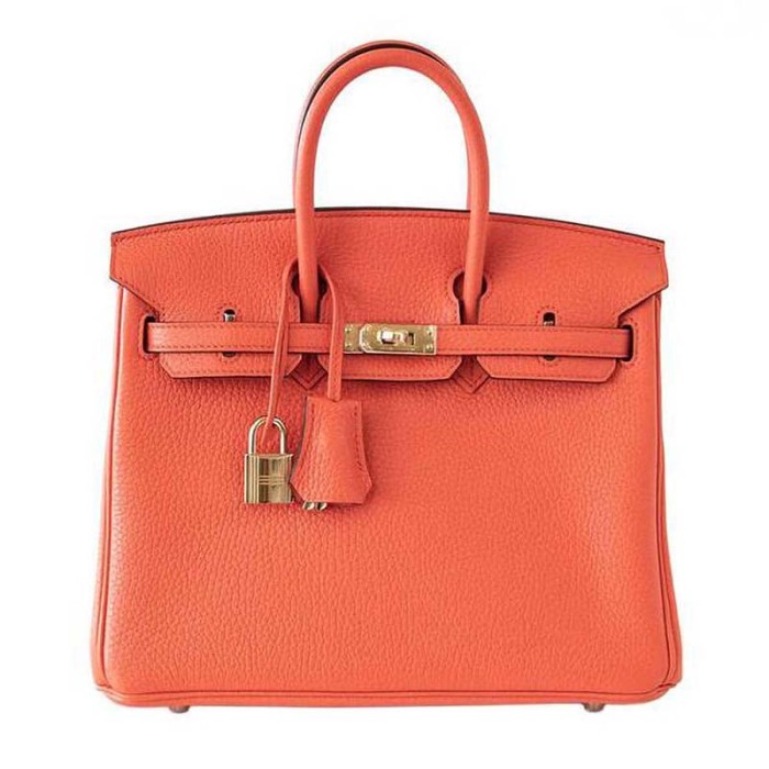 Hermes Birkin 25 Bag in Togo Leather with Gold Hardware