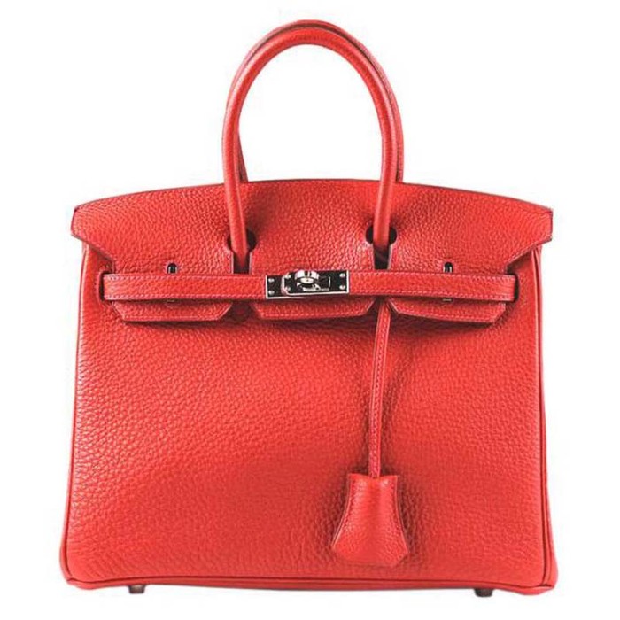 Hermes Birkin 25 Bag in Togo Leather with Gold Hardware
