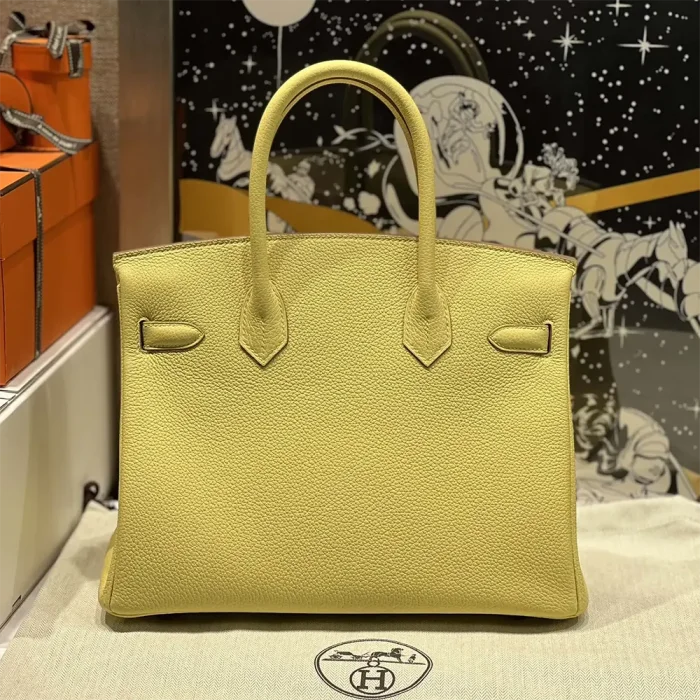 Hermes Birkin 30 Bag in Epsom Leather with Gold Hardware-Yellow/Silver