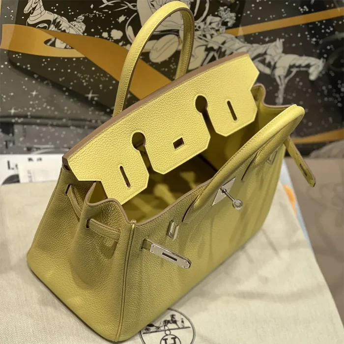 Hermes Birkin 30 Bag in Epsom Leather with Gold Hardware-Yellow/Silver