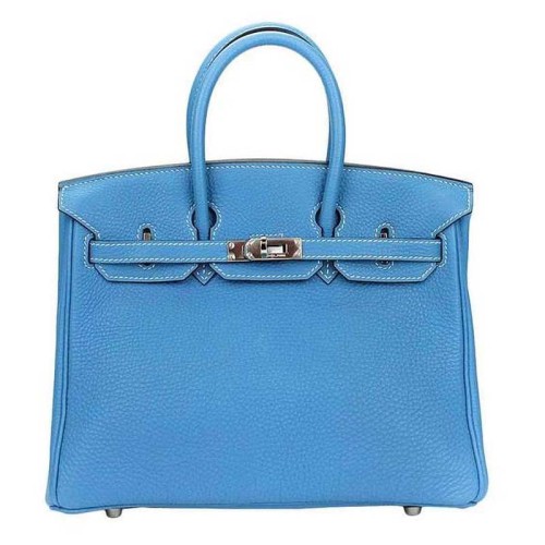 Hermes Birkin 25 Bag in Togo Leather with Gold Hardware