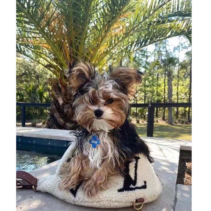 Louis Vuitton LV Unisex Bumbag Cream Brown Shearling Cowhide-Leather Textile Lining