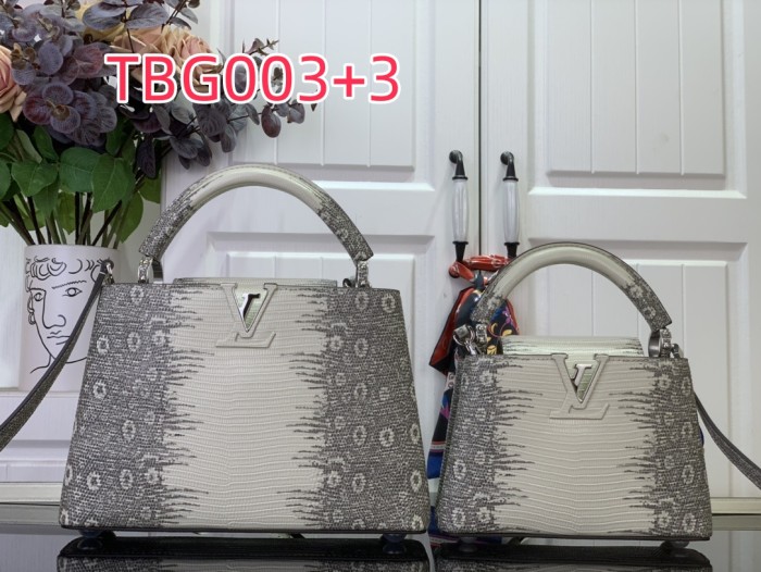 TBG003 Capucines hand bag N98156