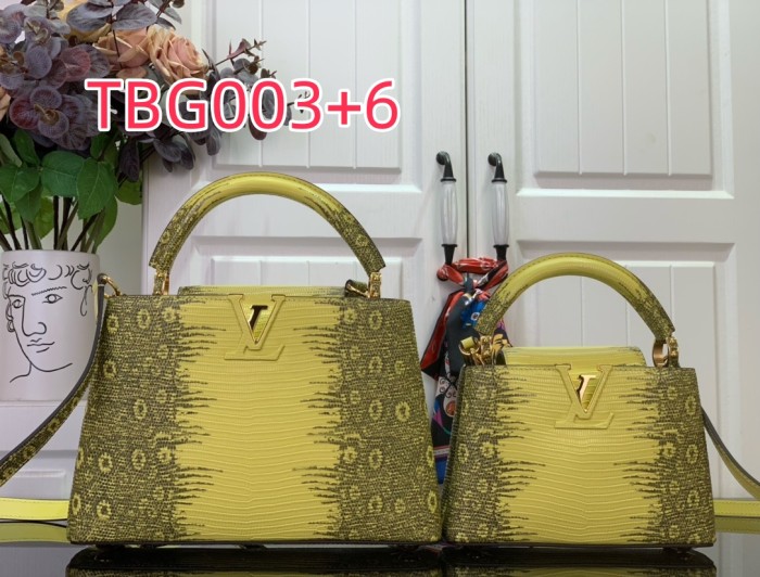 TBG003 Capucines hand bag N98156