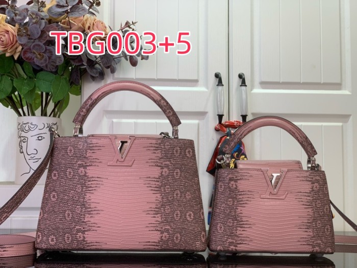 TBG003 Capucines hand bag N98156