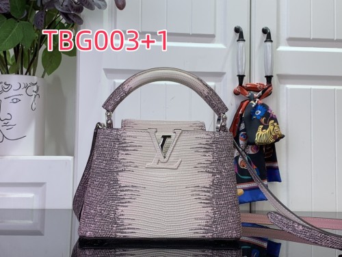 TBG003 Capucines hand bag N98156