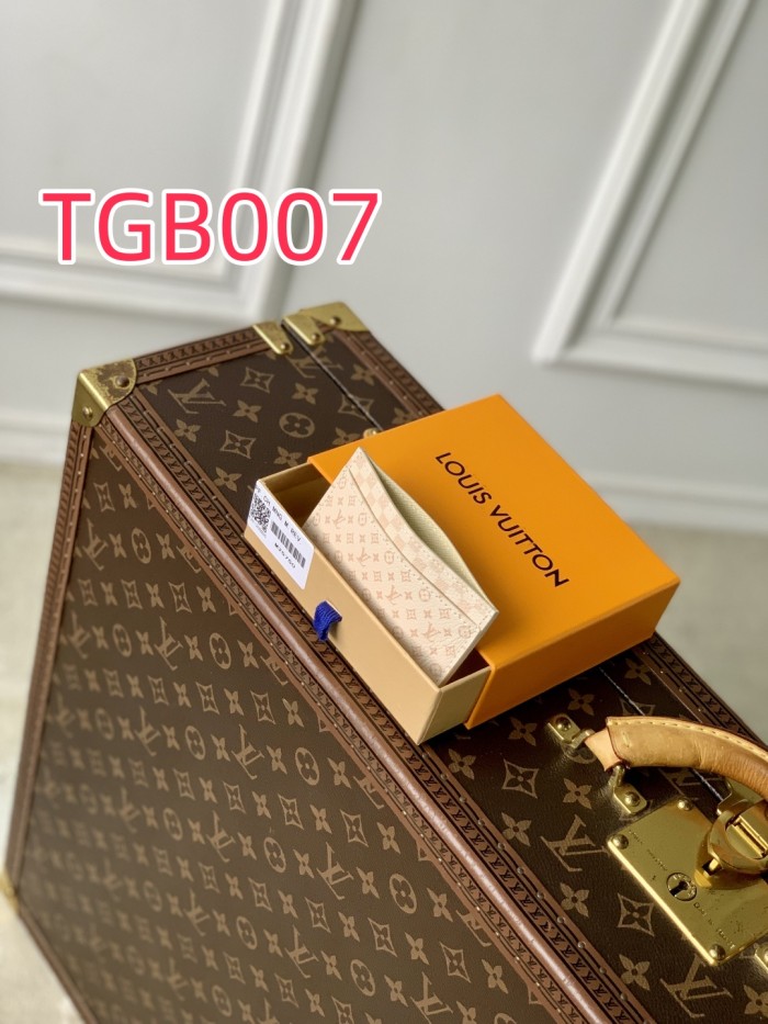 TBG007 Louis Vuitton card holder M25750