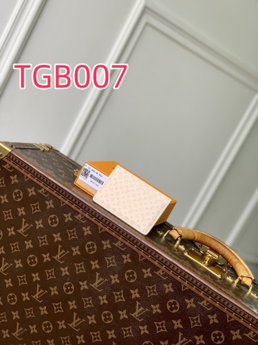 TBG007 Louis Vuitton card holder M25750