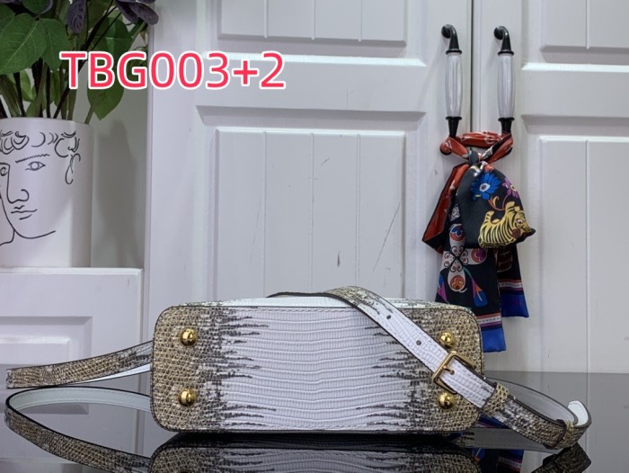 TBG003 Capucines hand bag N98156