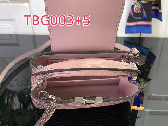 TBG003 Capucines hand bag N98156