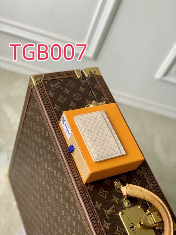 TBG007 Louis Vuitton card holder M25750