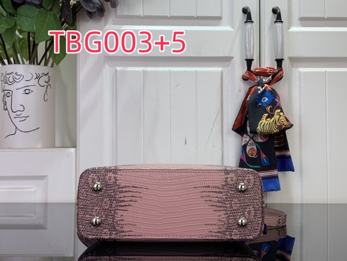 TBG003 Capucines hand bag N98156