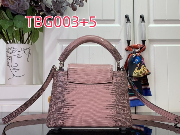 TBG003 Capucines hand bag N98156