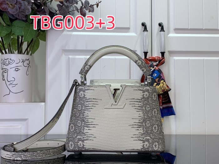 TBG003 Capucines hand bag N98156